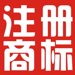 臨沂企業(yè)一站式知識(shí)產(chǎn)權(quán)服務(wù) 公司注冊(cè)、商標(biāo)、專利與版權(quán)保護(hù)全攻略